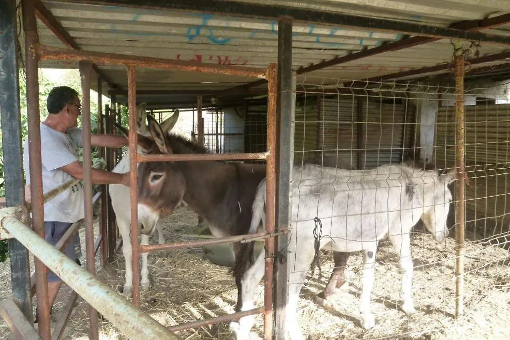 Bed & Breakfast Finca Los Burros Totalan Spain